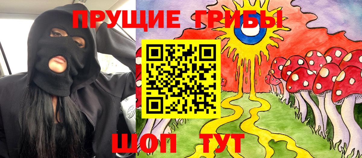 Псилоцибиновые грибы Cubensis Ессентуки