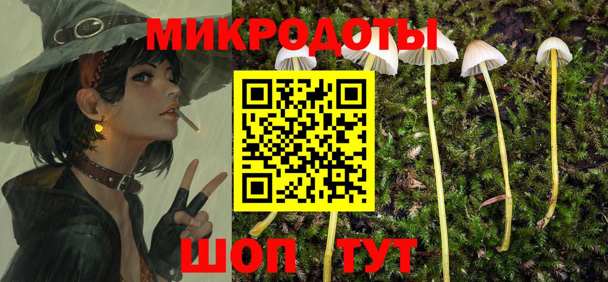 Ессентуки  Галлюциногенные грибы Psilocybe  Вход с VPN 